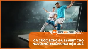 Cá cược bóng đá 566BET cho người mới muốn chơi hiệu quả