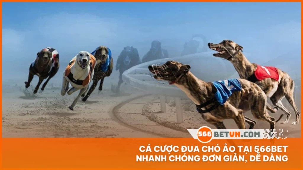 Cá cược đua chó ảo tại 566BET nhanh chóng đơn giản, dễ dàng
