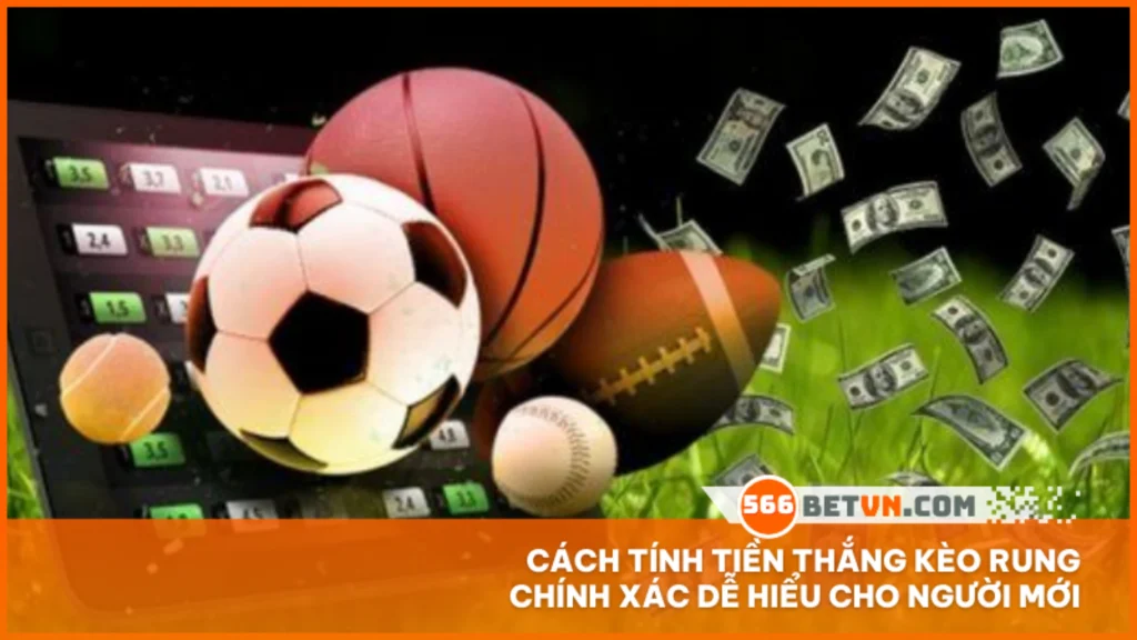 Cách tính tiền thắng kèo rung chính xác dễ hiểu cho người mới