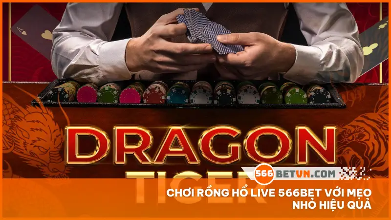 Chơi Rồng Hổ live 566bet với mẹo nhỏ hiệu quả