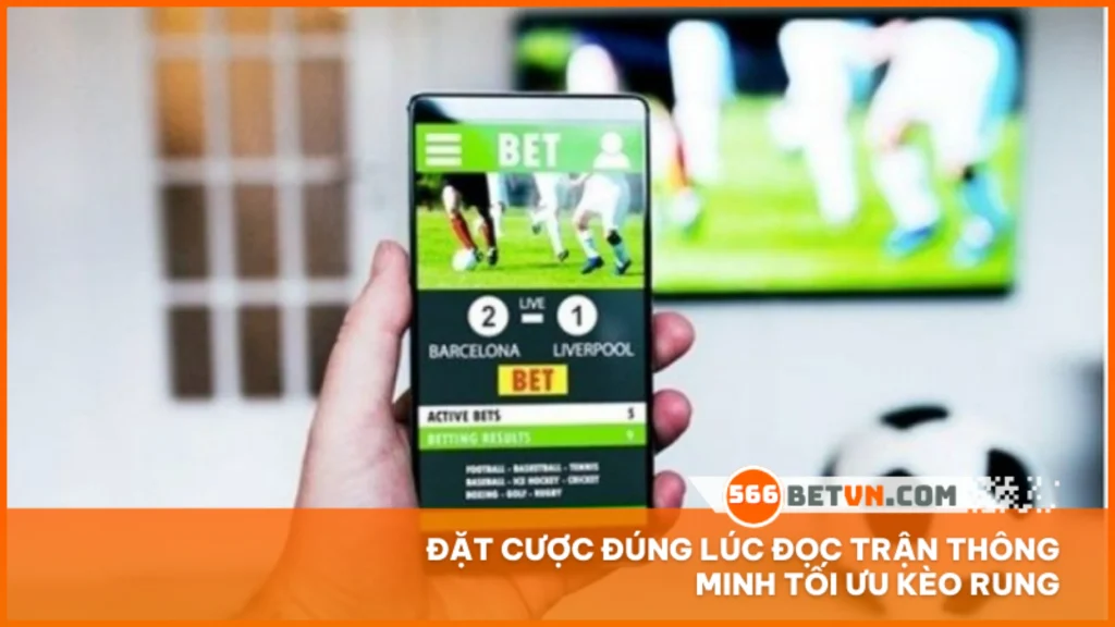 Đặt cược đúng lúc đọc trận thông minh tối ưu kèo rung