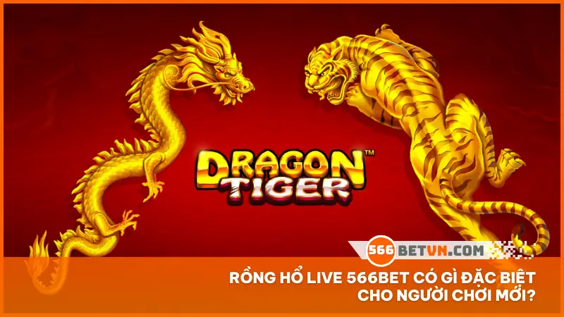 Rồng Hổ live 566bet có gì đặc biệt cho người chơi mới?